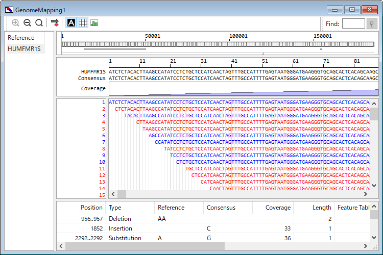 ngs_snp_mapping.png